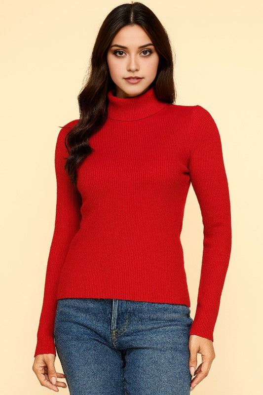 CTN03 CLASSIC TURTLE NECK LONG SLEEVE KNIT SWEATER
